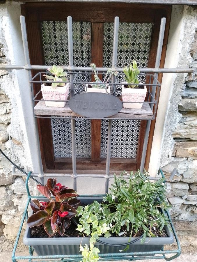 Ferienwohnung Casa Millin Borzonasca Exterior foto